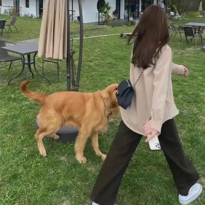 暴火危墙